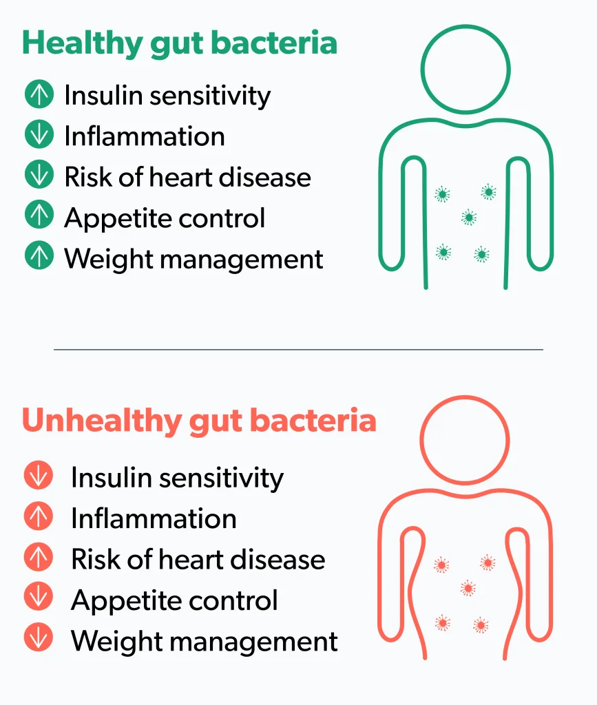 OC Probiotics and weight loss: the real skinny on whether they work image 0d47e6f4-31d3-436a-b505-c419adf72bce