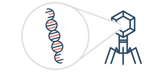 How does valacyclovir work