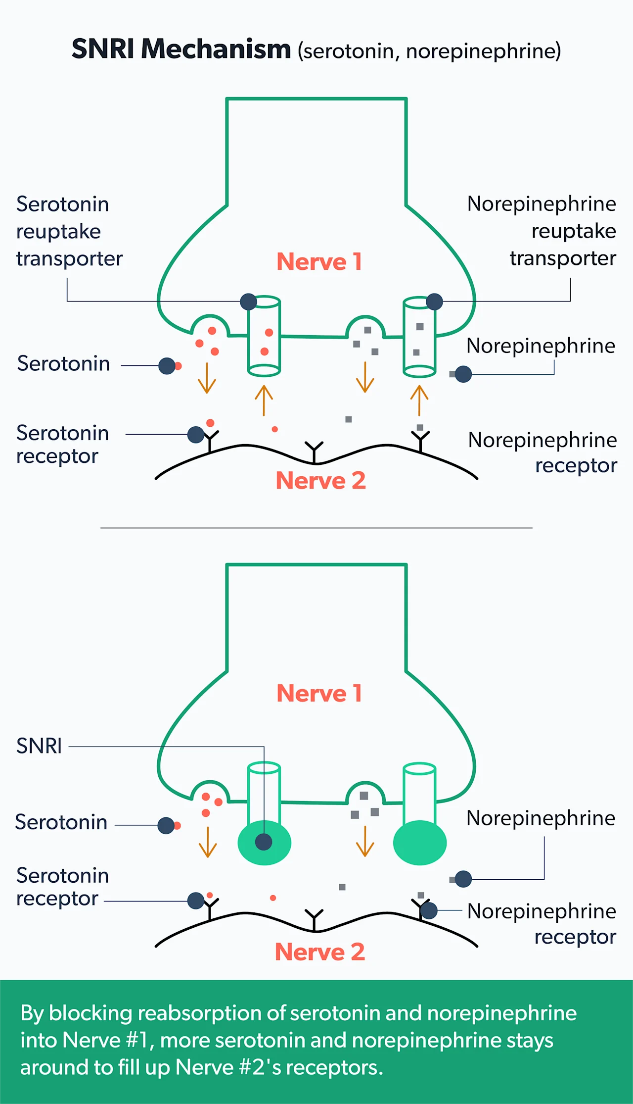 OC Venlafaxine and alcohol: risks and side effects image 1e20fe72-6244-486f-8a8b-bb52a475ef02