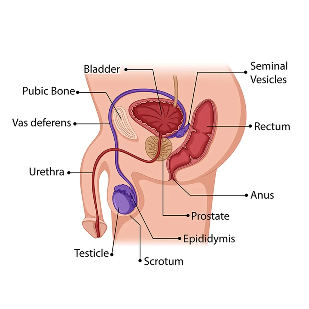 how to anal masturbate male DIY Personal Lubricant – Yep there is a recipe for that too – Bath and Body main image 1