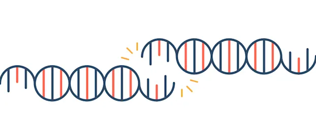 How does valacyclovir work