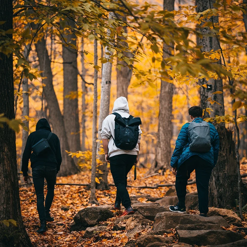 Fenugreek: what is it, benefits, uses, impact on testosterone - Desktop Image