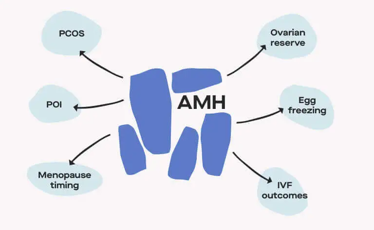 Is There a “Good” Amh Level for Getting Pregnant? | Ro