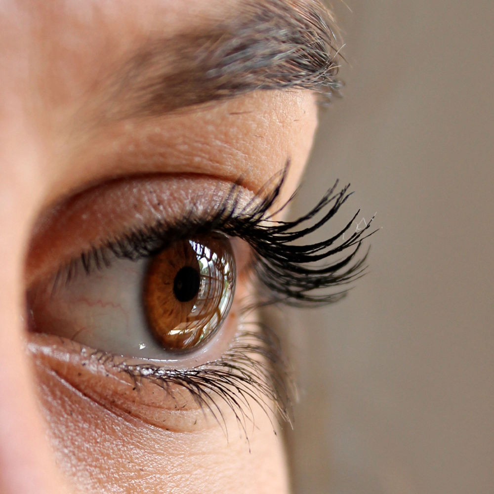 Eyelash growing store on eyelid