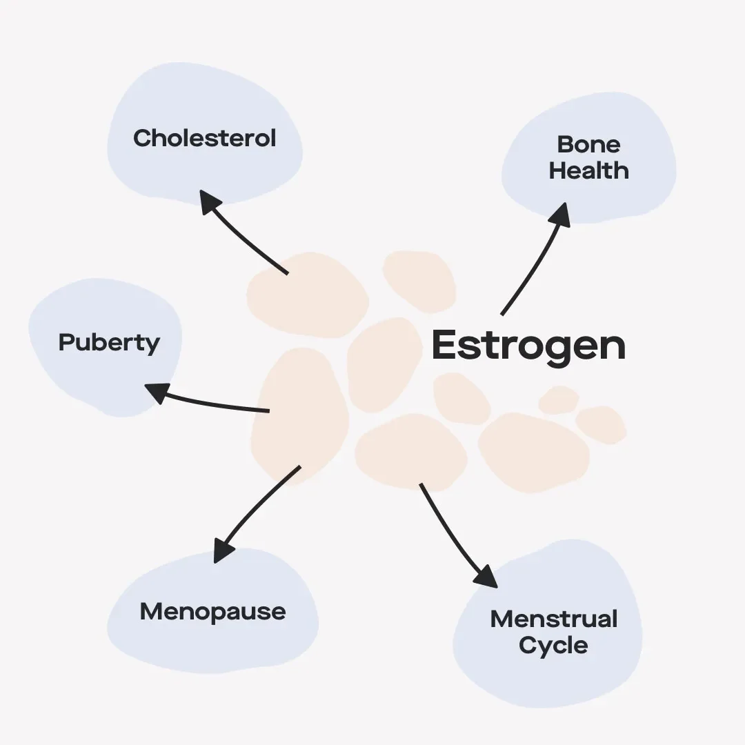 OC Signs and symptoms of high and low estrogen levels image 38df1ad0-0930-4493-85da-d7eaadc66fb3