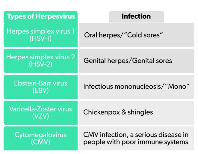 OC Gene editing and a possible cure for herpes image 3c549546-ec0b-47b0-b7b3-02278b3d444a