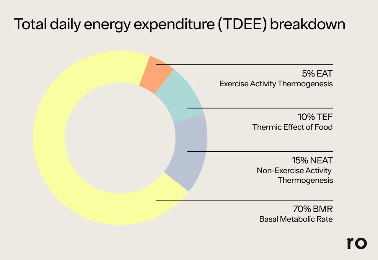 a chart showing TDEE breakdown