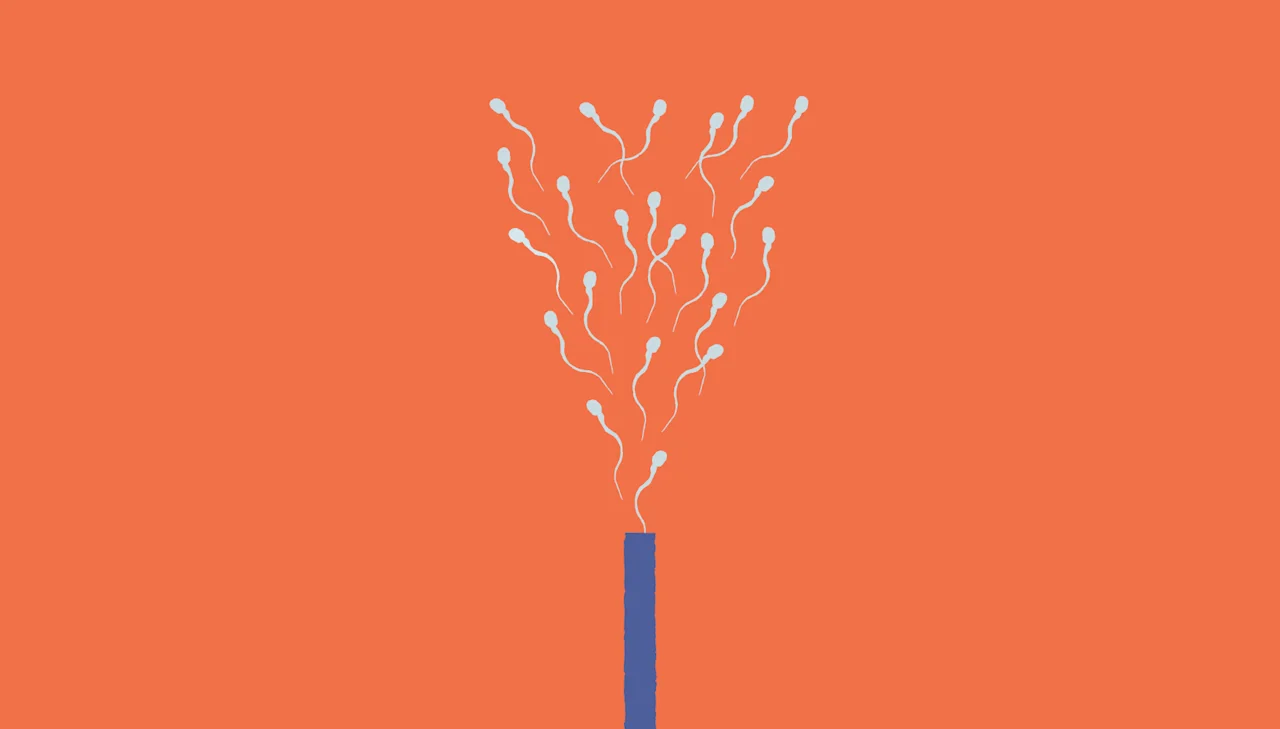 Intrauterine insemination: IUI costs, success rates, and factors that shape outcomes - Desktop Image