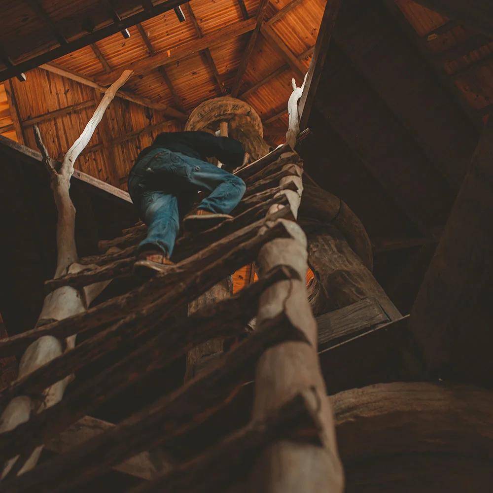 Priapism: causes, symptoms, and treatment - Desktop Image