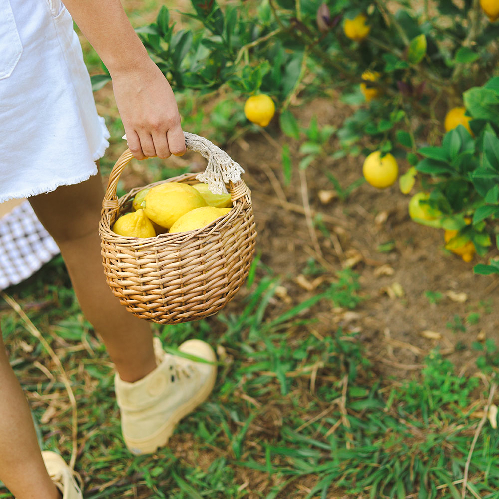 Too Much Vitamin C Can You Overdose on Vitamin C? Ro