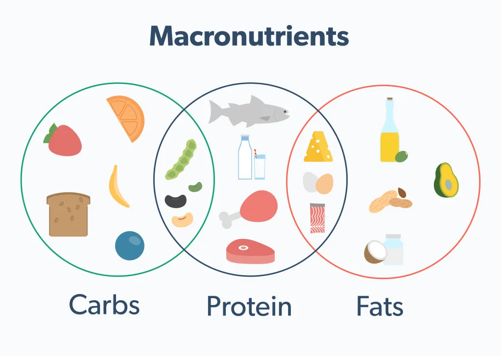 OC Your guide to macronutrients image 584de869-20c2-405e-a3cf-d4e7ada17269