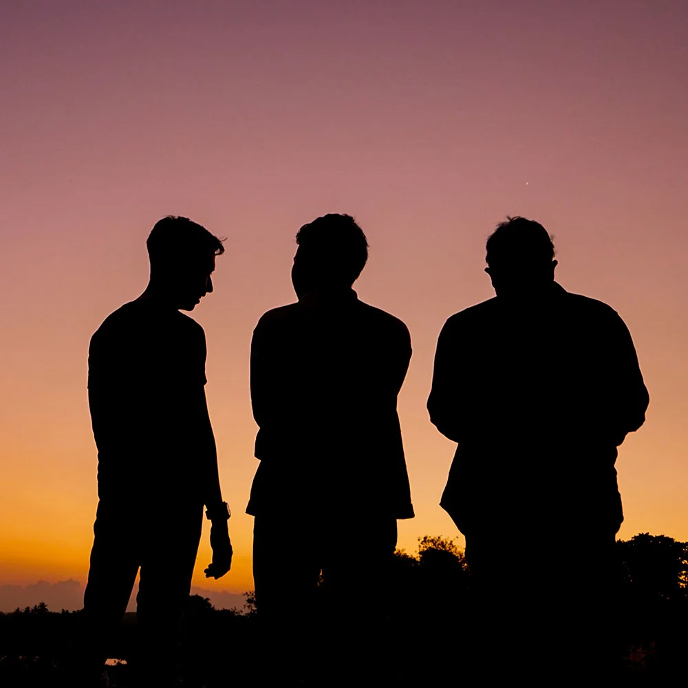 Penis anatomy: how the parts come together - Desktop Image