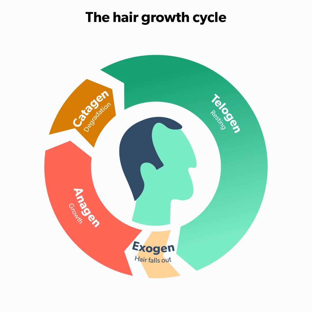 OC 8 signs of balding and how to stop it image 64392d87-f906-4148-ba98-623223c665b8