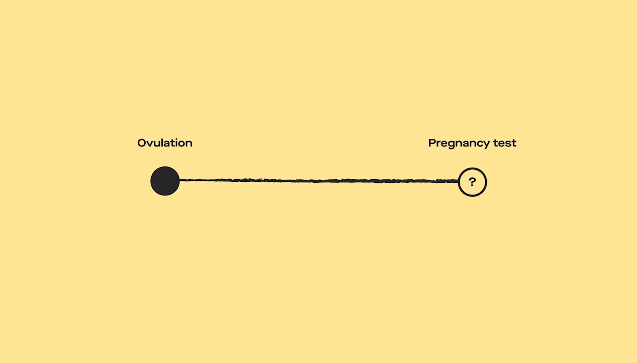 How long after ovulation can you take a pregnancy test? - Desktop Image