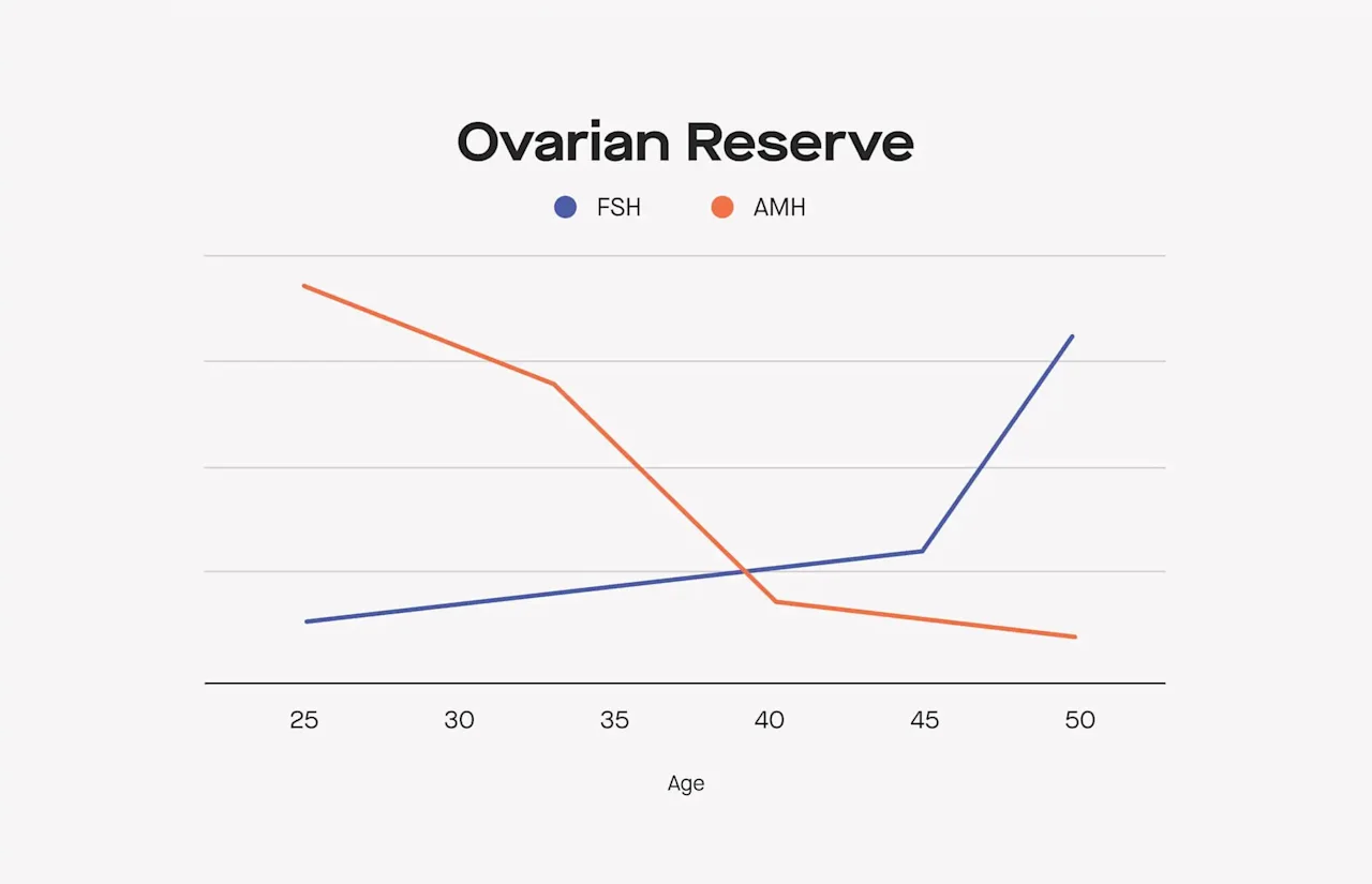 OC FSH 101: What low and high FSH levels actually mean image 66ef0cc4-0640-43c9-a4bf-2fa855d82b4d