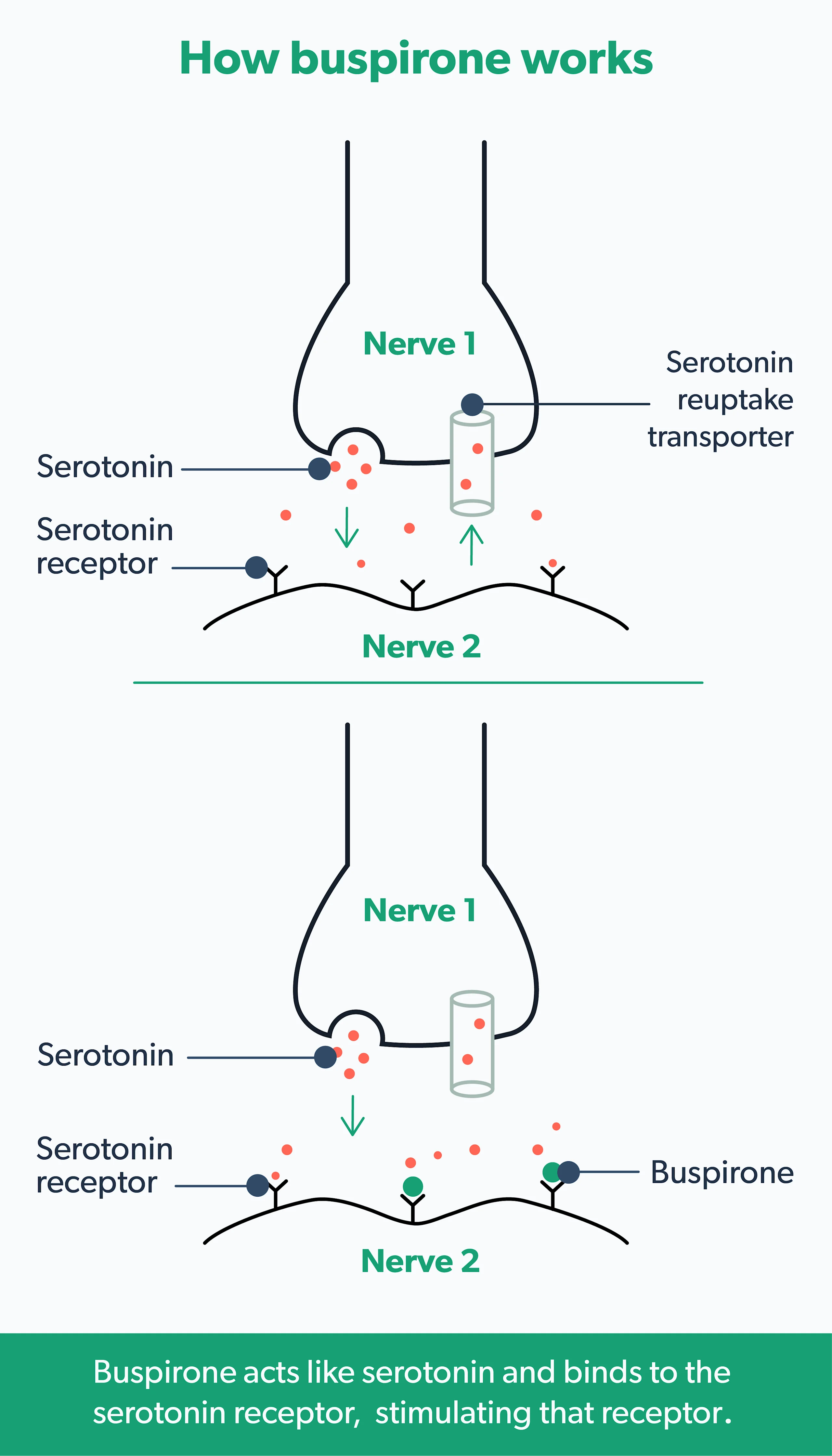 stronger than tirzepatide Semaglutide vs Tirzepatide, which is better for you? stronger than tirzepatide Semaglutide vs Tirzepatide, which is better for you?