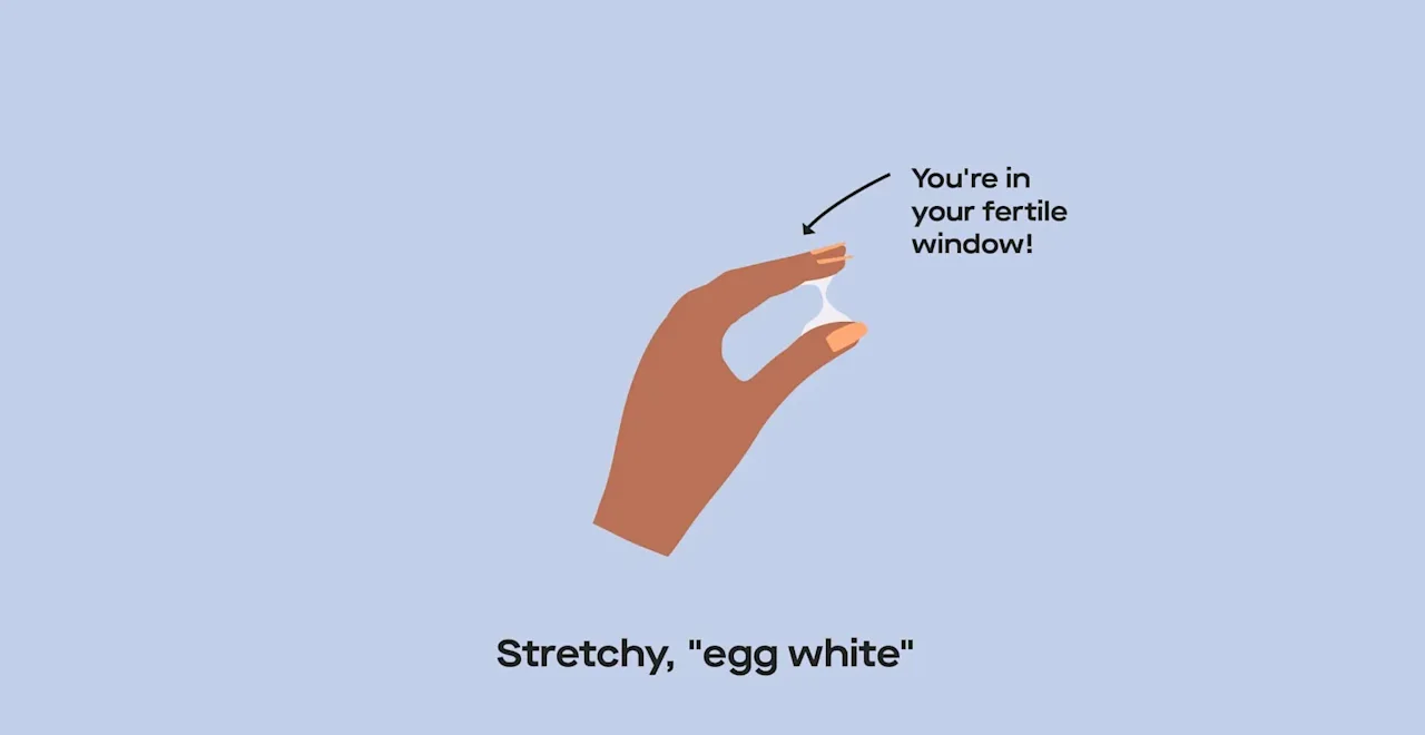 OC What your cervical mucus looks like before, during, and after ovulation image 700f93ca-7fbf-436d-b0d4-7e623ed53961
