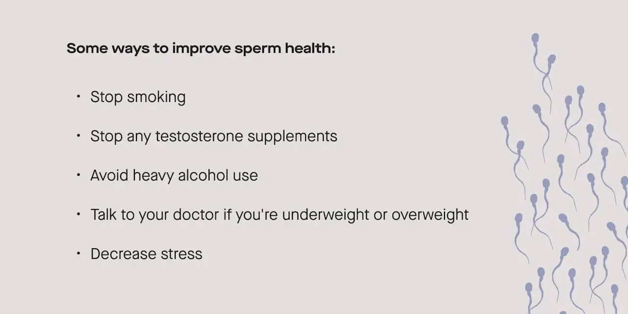 OC How to interpret the results of a semen analysis image 74ad3224-029b-4935-ad1d-51e4a8e7d062