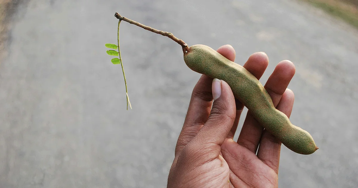Where a 7-Inch Penis Really Ranks (Medical Expert’s Guide) | Ro