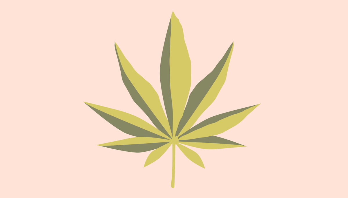 Does Marijuana Affect Fertility Get the Truth on Cannabis Ro