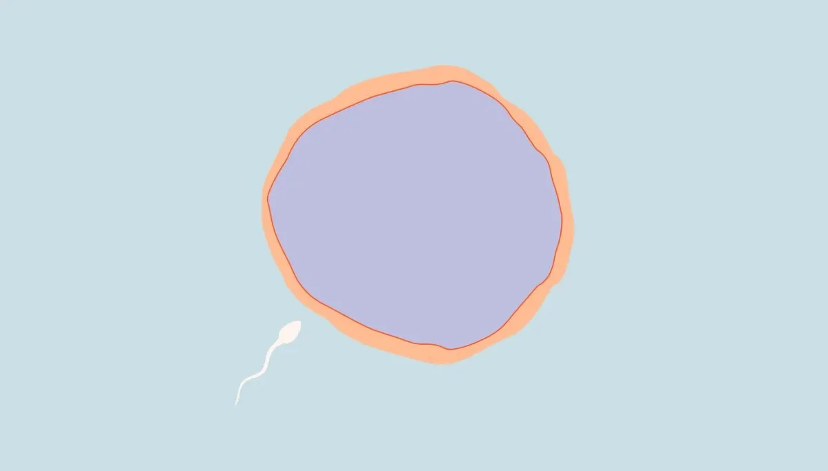 OC 4 reasons to track your cycle and ovulation if you're not trying to get pregnant image a5c7f260-c294-4e9e-bcfb-bb58fc8a06f5