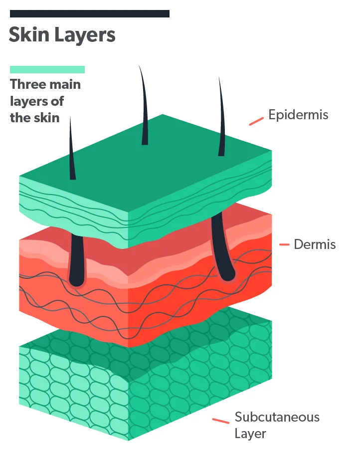 OC Facelift: what is it, types, cost, recovery image e48a0271-78a1-46e7-839a-035f5e09d3b2