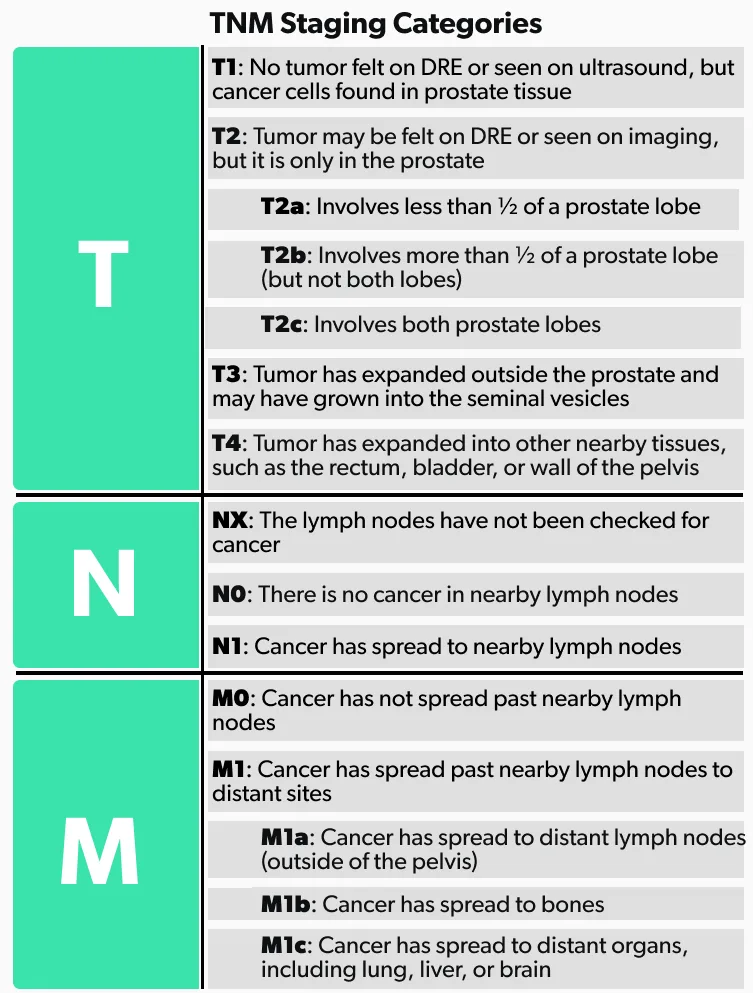 OC Prostate cancer: stages, grades, and treatment image f8b07a5e-6683-4900-8479-8970b81adcad