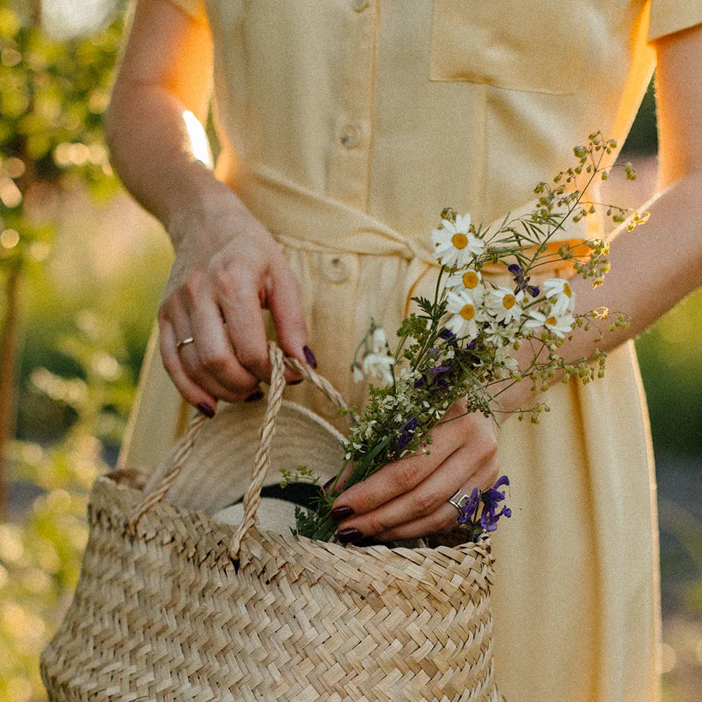 Black cohosh: uses, benefits, and side effects - Desktop Image