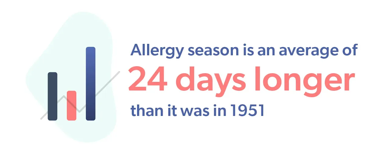 Allergy season is an average of 24 days longer than it was in 1951